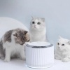 Дозатор воды для животных Xiaomi Furrytail Clear Cat Water Dispenser