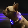 Ошейник Xiaom Little Beast LED Glowing Collar (XL81-5001)