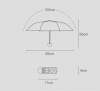 Зонт Xiaomi Zuodu fashionable umbrella Белый
