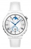 Смарт часы Huawei Watch GT 3 Pro Белый/Серебристый (FRG-B19)