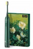 Зубная электрическая щетка Xiaomi Soocas X3U Van Gogh Зеленый / Green