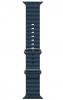Смарт часы Apple Watch Ultra 2 49 mm Titanium Case GPS + Cellular, Blue Ocean Band