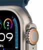 Смарт часы Apple Watch Ultra 2 49 mm Titanium Case GPS + Cellular, Blue Ocean Band