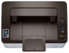Черно-белый лазерный принтер Samsung SL-M2020W