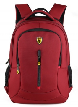 Рюкзак для ноутбука Jet.A LPB16-46 Red